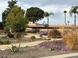 Villa Del Monte Mobile Home Park, Space 22